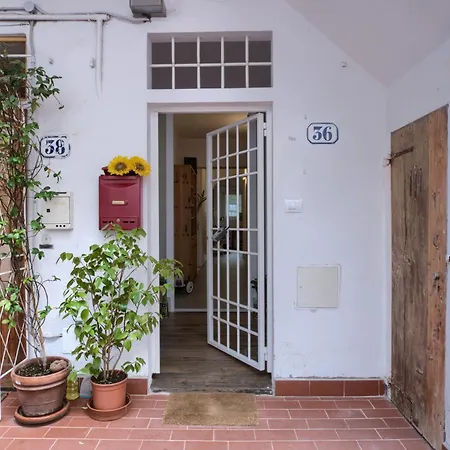 La Corte Di San Frediano *